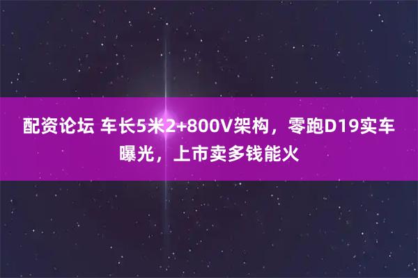 配资论坛 车长5米2+800V架构，零跑D19实车曝光，上市卖多钱能火