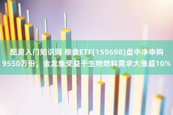 配资入门知识网 粮食ETF(159698)盘中净申购9550万份，金龙鱼受益于生物燃料需求大涨超10%